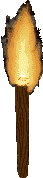 torch.gif